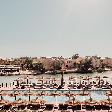 Hotel Cook'S Club El Gouna (Adults Only) Hurghada Exteriér fotografie