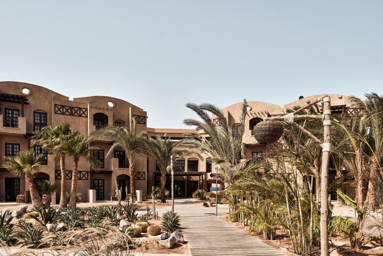 Hotel Cook'S Club El Gouna (Adults Only) Hurghada Exteriér fotografie