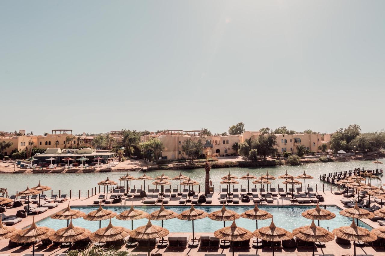 Hotel Cook'S Club El Gouna (Adults Only) Hurghada Exteriér fotografie