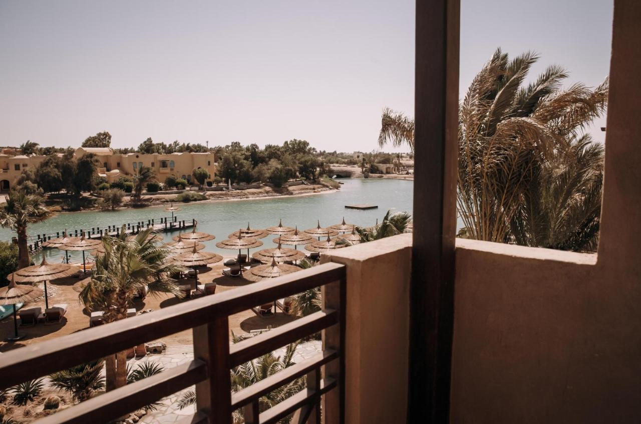 Hotel Cook'S Club El Gouna (Adults Only) Hurghada Exteriér fotografie