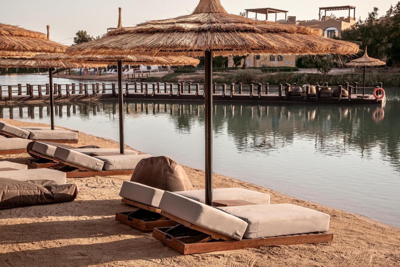 Hotel Cook'S Club El Gouna (Adults Only) Hurghada Exteriér fotografie