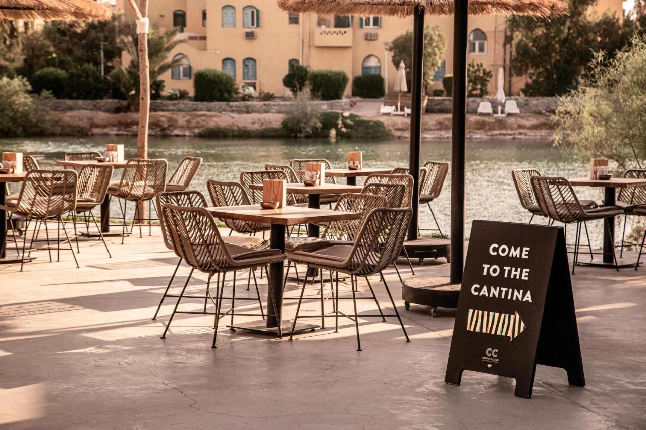 Cook'S Club El Gouna (Adults Only) Hurghada Exteriér fotografie