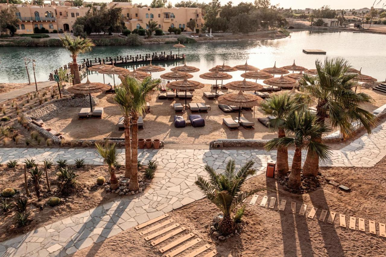 Hotel Cook'S Club El Gouna (Adults Only) Hurghada Exteriér fotografie